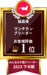 みんなの子猫ブリーダー マンチカン部門 2025年下半期