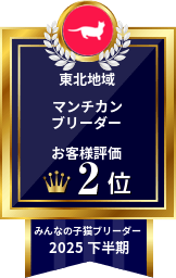 みんなの子猫ブリーダー マンチカン部門 2025年下半期