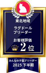 みんなの子猫ブリーダー ラグドール部門 2025年下半期