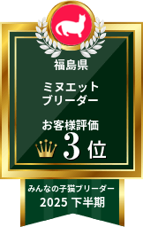 みんなの子猫ブリーダー ミヌエット部門 2025年下半期